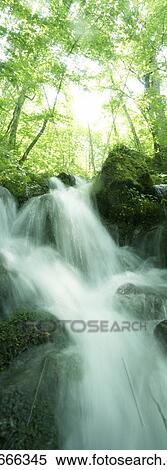 Stream, Aomori Prefecture, Honshu, Japan View Large Photo Image Stock Photography - Stream, Aomori Prefecture, Honshu, Japan. Fotosearch