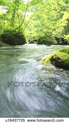 Stock Photography - Stream. Fotosearch