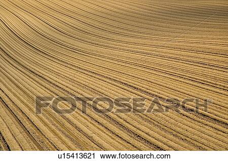 Stock Image - Striped field, Tokachi, Hokkaido, Japan. Fotosearch