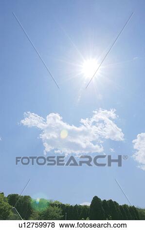 Sun and trees View Large Photo Image Stock Photo - Sun and trees. Fotosearch