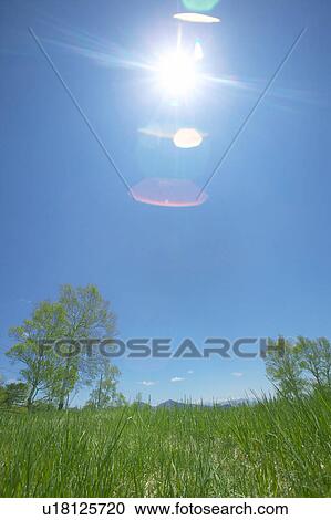 Stock Image - Sun shining over Sugadaira Plateau, Nagano Prefecture, Japan. Fotosearch