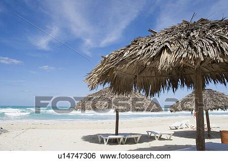 Sun umbrellas on beach, Cuba, Caribbean, West Indies View Large Photo Image Stock Photograph - Sun umbrellas on beach, Cuba, Caribbean, West Indies. Fotosearch