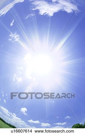 Sunlight over meadow, Osaka, Japan View Large Photo Image Picture - Sunlight over meadow, Osaka, Japan. Fotosearch