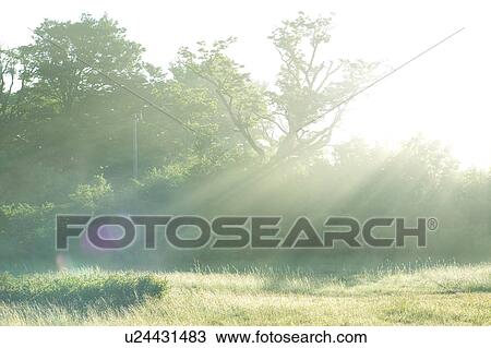 Stock Image - Sunlight shining over a meadow, Aomori Prefecture, Japan. Fotosearch