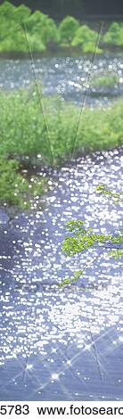 Stock Image - Sunlight sparkling on the surface of a lake. Kuroishi, Aomori Prefecture, Japan. Fotosearch