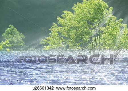 Stock Image - Sunlight sparkling on the surface of a lake. Kuroishi, Aomori Prefecture, Japan. Fotosearch