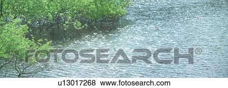 Sunlight sparkling on the surface of a lake. Kuroishi, Aomori Prefecture, Japan View Large Photo Image Stock Photo - Sunlight sparkling on the surface of a lake. Kuroishi, Aomori Prefecture, Japan. Fotosearch