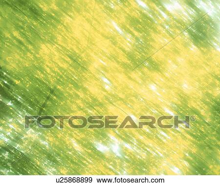 Stock Photo - Sunlight through maple tree leaves. Towada, Aomori Prefecture, Japan. Fotosearch