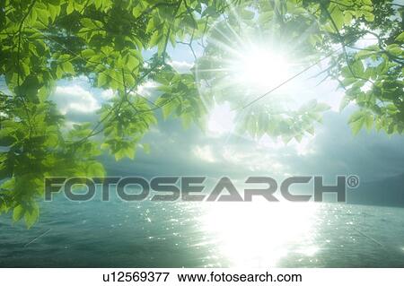 Sunshine over a lake. Towada, Aomori Prefecture, Japan View Large Photo Image Stock Photo - Sunshine over a lake. Towada, Aomori Prefecture, Japan. Fotosearch