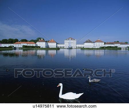 Stock Image - Swans and ducks in the lake outside Nymphenburg Castle, Munich, Germany. Fotosearch
