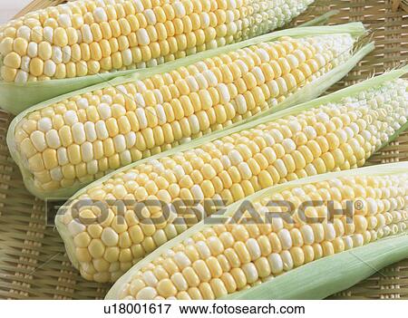 Stock Photo - Sweetcorn in a basket. Fotosearch