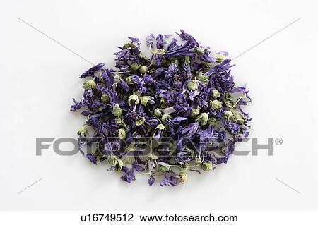 Tea leaves of purple flowers View Large Photo Image Stock Image - Tea leaves of purple flowers. Fotosearch