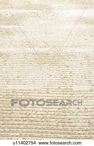 Picture - Textured white paint. Fotosearch