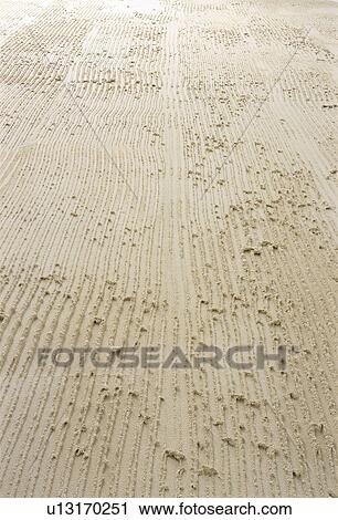 Textured white paint View Large Photo Image Stock Image - Textured white paint. Fotosearch