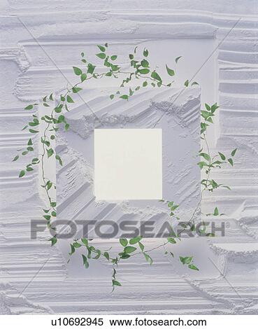 Stock Photography - Textured white window framed with ivy. Fotosearch