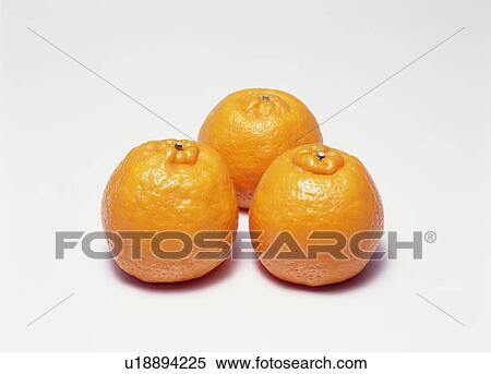 Stock Photography - Three ponkan oranges. Fotosearch