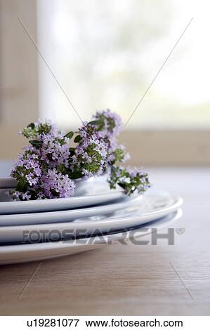 Stock Photo - Thyme flowers on a stack of plates. Fotosearch