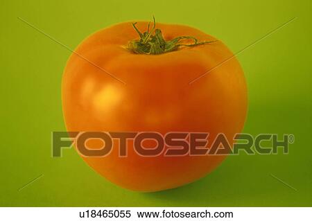 Tomato View Large Photo Image Stock Photography - Tomato. Fotosearch