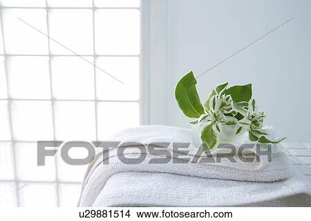 Towel in bathroom with leaves View Large Photo Image Picture - Towel in bathroom with leaves. Fotosearch