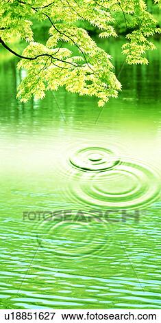 Stock Photo - Tree over a lake. Fotosearch
