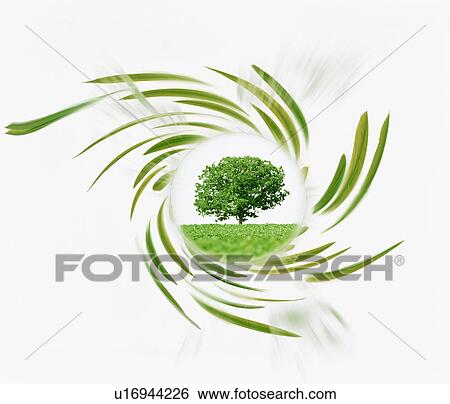 Tree with leaves swirling around it View Large Photo Image Stock Photograph - Tree with leaves swirling around it. Fotosearch