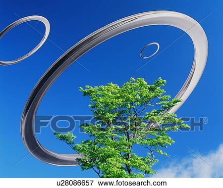 Tree with silver ring View Large Photo Image Stock Photo - Tree with silver ring. Fotosearch