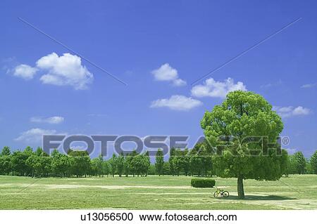 Stock Image - Trees below blue sky, Osaka, Japan. Fotosearch