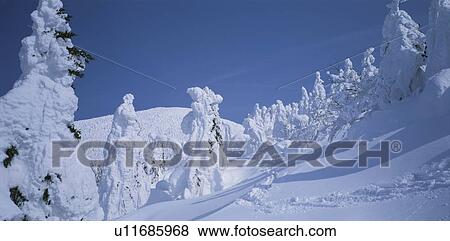 Stock Photo - Trees covered in snow, Mt. Jizo, Zaou, Yamagata Prefecture, Japan. Fotosearch