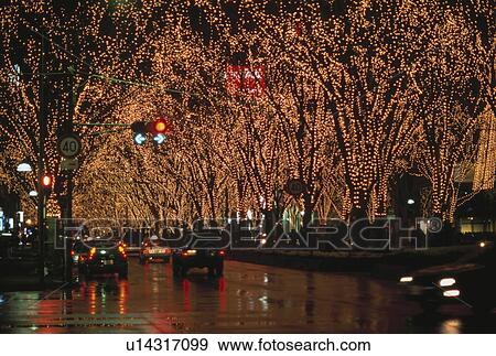 Trees on Jozenji Street decorated with fairy lights, Sendai, Miyagi Prefecture, Japan View Large Photo Image Stock Photo - Trees on Jozenji Street decorated with fairy lights, Sendai, Miyagi Prefecture, Japan. Fotosearch