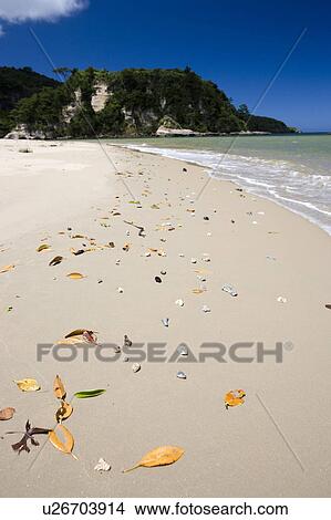 Picture - Tsukigahama beach, Iriomote Island, Okinawa Prefecture, Japan. Fotosearch