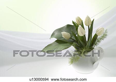 Tulips in a vase View Large Photo Image Picture - Tulips in a vase. Fotosearch