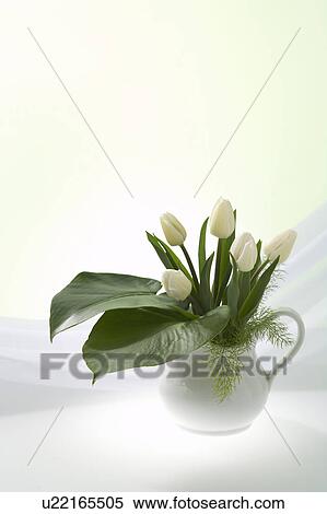 Tulips in a vase View Large Photo Image Stock Photography - Tulips in a vase. Fotosearch
