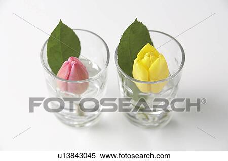 Tulips in glasses View Large Photo Image Stock Photography - Tulips in glasses. Fotosearch