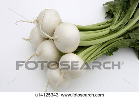 Stock Image - Turnips. Fotosearch