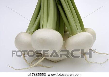 Turnips View Large Photo Image Stock Image - Turnips. Fotosearch