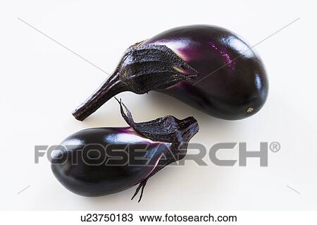 Two eggplants View Large Photo Image Stock Image - Two eggplants. Fotosearch