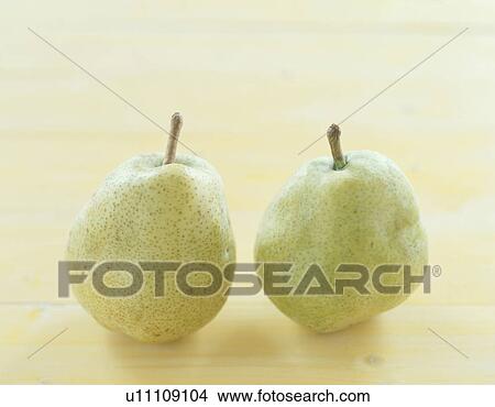 Picture - Two pears. Fotosearch