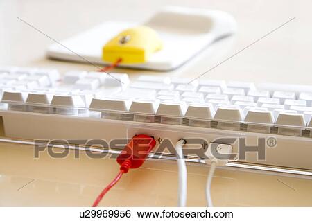 USB cables plugged into a keyboard View Large Photo Image Stock Photograph - USB cables plugged into a keyboard. Fotosearch