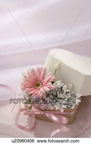 Stock Photograph - Valentine's Day flowers. Fotosearch