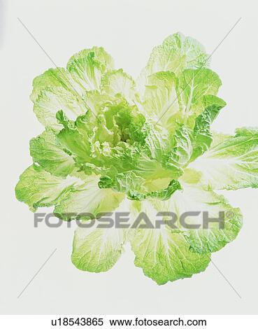Vegetable View Large Photo Image Stock Photography - Vegetable. Fotosearch