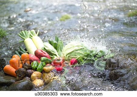 Stock Image - Vegetables in a stream. Fotosearch