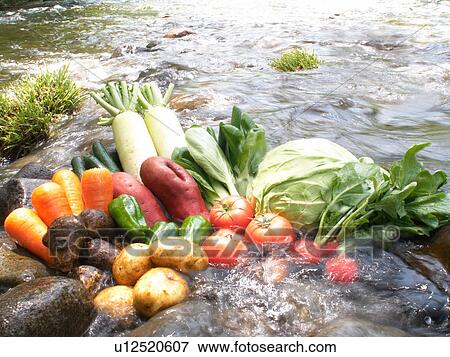 Stock Photo - Vegetables in a stream. Fotosearch