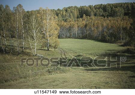 Stock Photo - View from Trans-Siberian Railroad, Russia. Fotosearch
