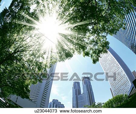 Stock Image - View of a city through green leafy tree branches. Fotosearch
