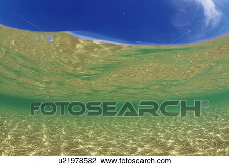 View of blue sky from underwater View Large Photo Image Stock Image - View of blue sky from underwater. Fotosearch