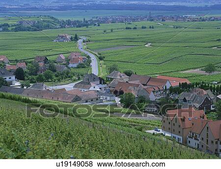 Stock Photo - Vineyards overlooking village, Riquewihr, Alsace, France. Fotosearch