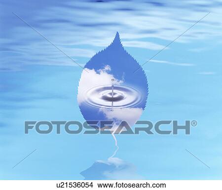 Waterdrop in a leaf shape View Large Photo Image Picture - Waterdrop in a leaf shape. Fotosearch