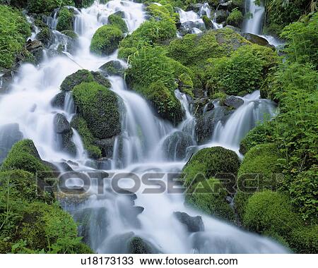 Stock Image - Waterfall and moss covered rocks, Hinoemata-son, Fukushima Prefecture, Japan. Fotosearch