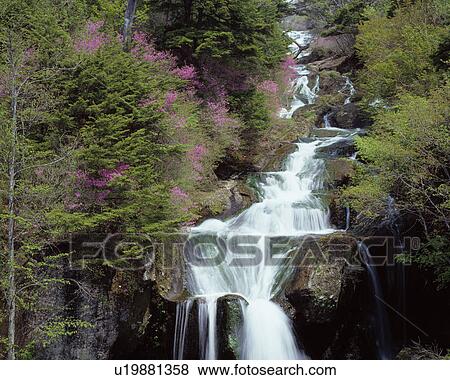 Waterfall in forest, Nikko, Tochigi Prefecture, Japan View Large Photo Image Stock Photo - Waterfall in forest, Nikko, Tochigi Prefecture, Japan. Fotosearch