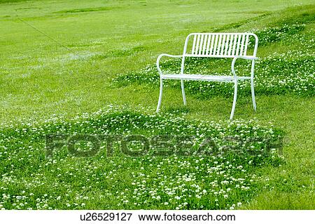 Stock Photo - White bench in a field. Fotosearch